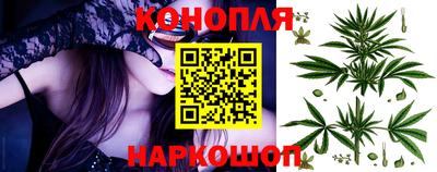 шишки Заводоуковск