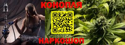 шишки Заводоуковск