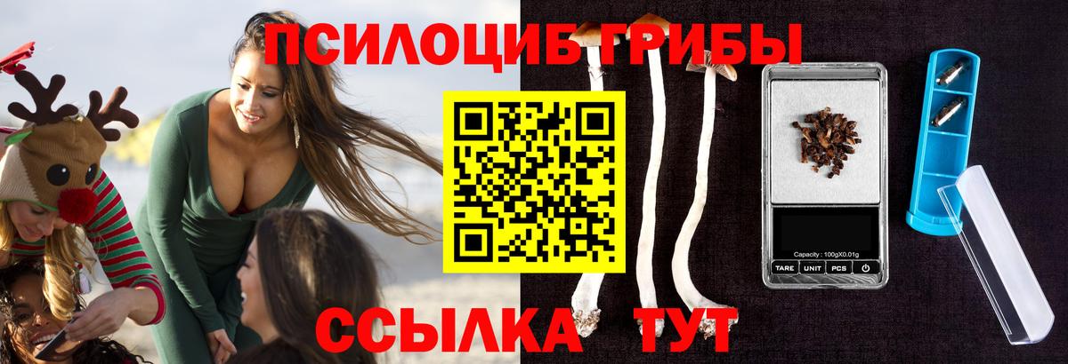 купить закладку  Вход с VPN  Магнитогорск  Галлюциногенные грибы мухоморы  Псилоцибиновые грибы Cubensis 