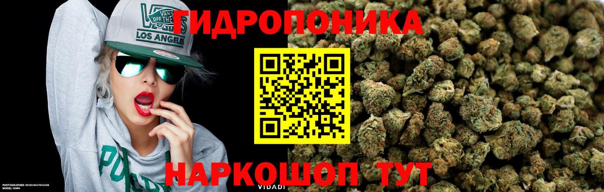 Каннабис индика Магнитогорск
